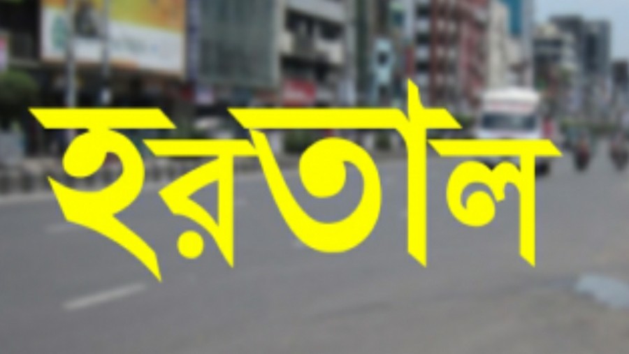 নির্বাচন, হরতাল, বিএনপি
