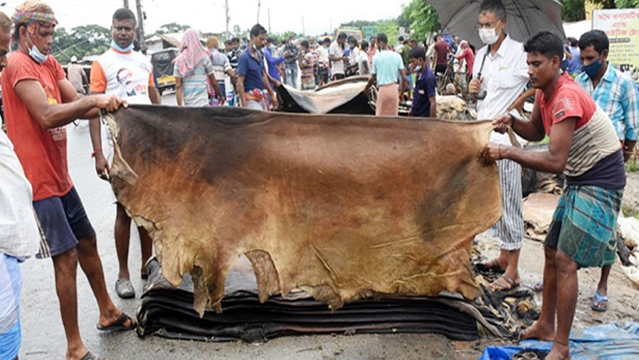 চামড়া, সংগ্রহ, টার্গেট