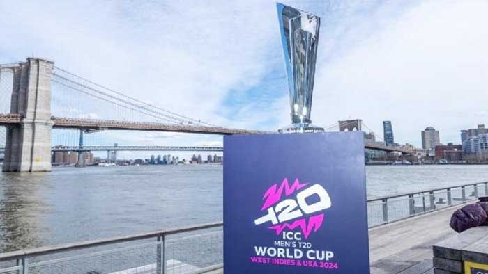 পর্দা, টি-টোয়েন্টি, বিশ্বকাপ