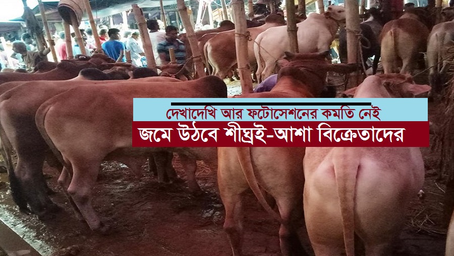 বিবিরহাট, জমে, গরু, বাজার