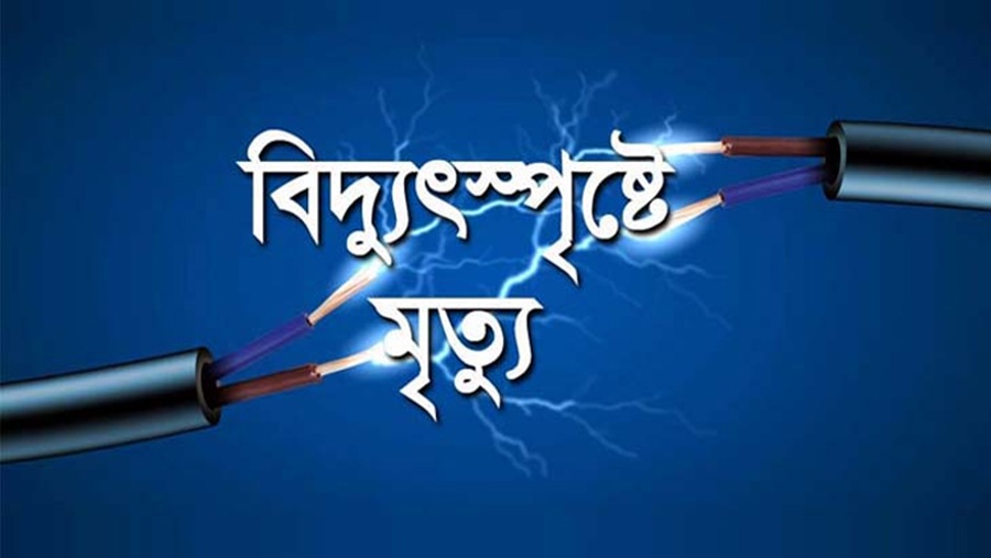 বিদ্যুৎস্পৃষ্ট