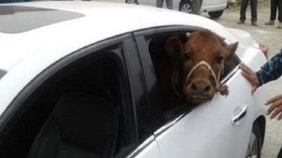 প্রাইভেটকারে