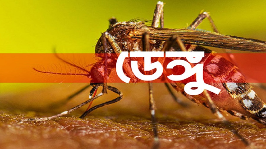 ডেঙ্গু